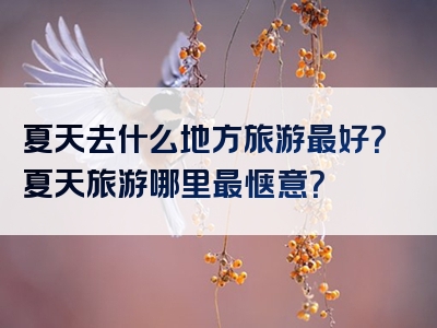 夏天去什么地方旅游最好？夏天旅游哪里最惬意？