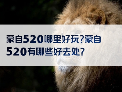 蒙自520哪里好玩？蒙自520有哪些好去处？