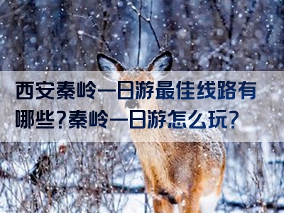 西安秦岭一日游最佳线路有哪些？秦岭一日游怎么玩？