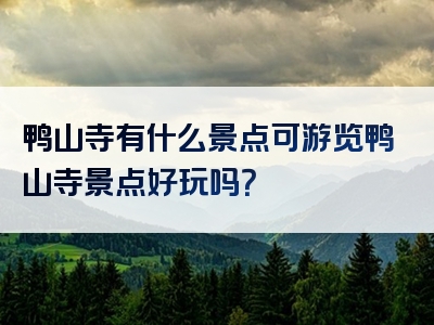 鸭山寺有什么景点可游览鸭山寺景点好玩吗？