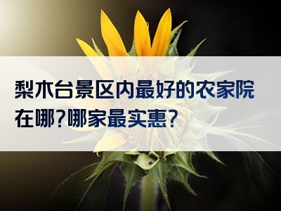 梨木台景区内最好的农家院在哪？哪家最实惠？