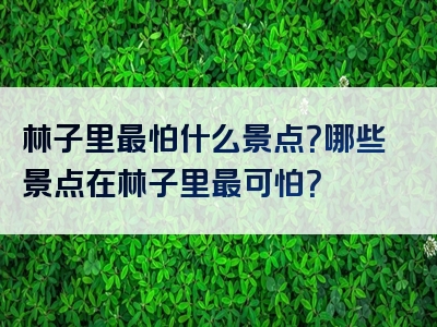 林子里最怕什么景点？哪些景点在林子里最可怕？