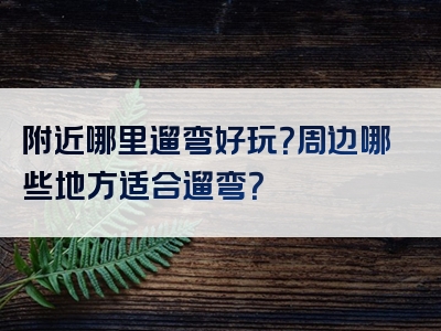 附近哪里遛弯好玩？周边哪些地方适合遛弯？