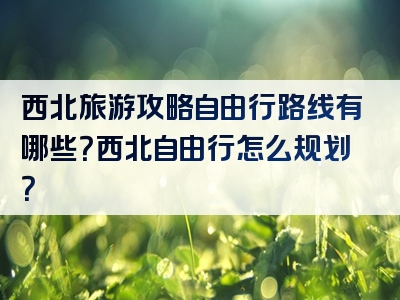 西北旅游攻略自由行路线有哪些？西北自由行怎么规划？