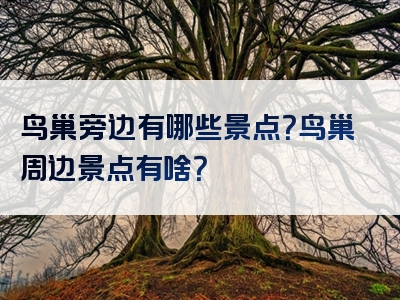 鸟巢旁边有哪些景点？鸟巢周边景点有啥？