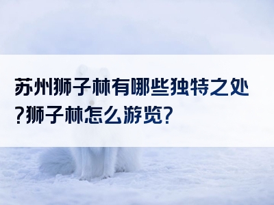 苏州狮子林有哪些独特之处？狮子林怎么游览？
