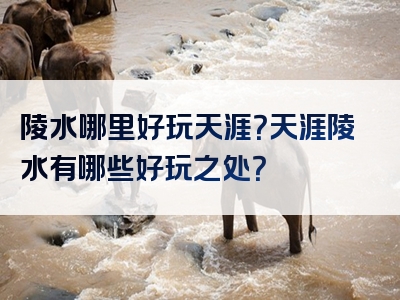 陵水哪里好玩天涯？天涯陵水有哪些好玩之处？