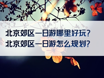 北京郊区一日游哪里好玩？北京郊区一日游怎么规划？