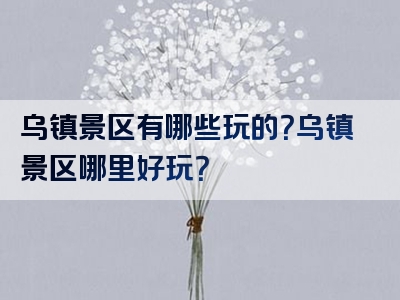 乌镇景区有哪些玩的？乌镇景区哪里好玩？