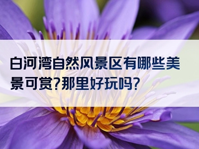 白河湾自然风景区有哪些美景可赏？那里好玩吗？
