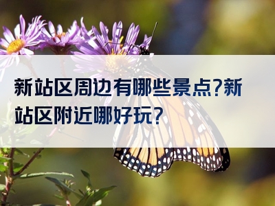 新站区周边有哪些景点？新站区附近哪好玩？
