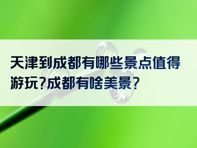 天津到成都有哪些景点值得游玩？成都有啥美景？