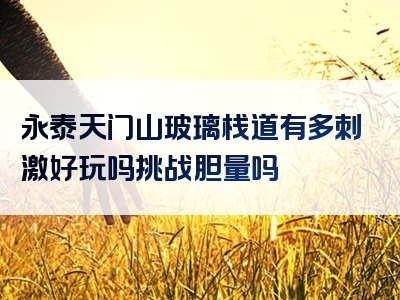 永泰天门山玻璃栈道有多刺激好玩吗挑战胆量吗