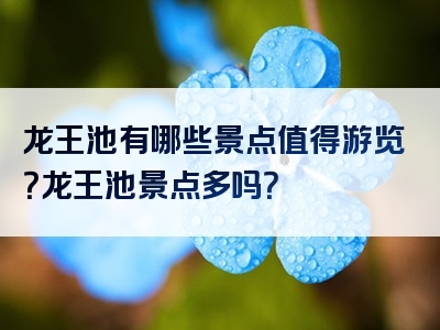 龙王池有哪些景点值得游览？龙王池景点多吗？