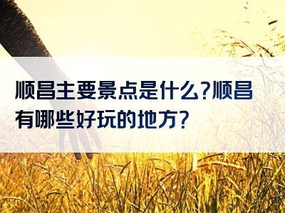 顺昌主要景点是什么？顺昌有哪些好玩的地方？