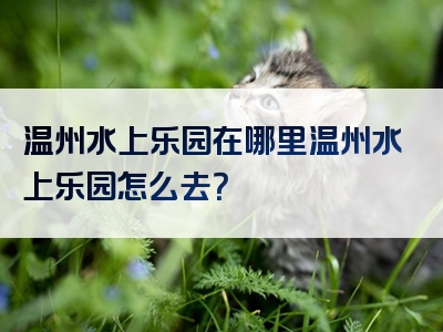 温州水上乐园在哪里温州水上乐园怎么去？