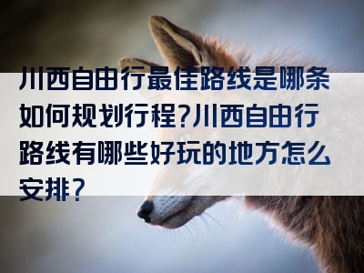 川西自由行最佳路线是哪条如何规划行程？川西自由行路线有哪些好玩的地方怎么安排？