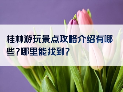 桂林游玩景点攻略介绍有哪些？哪里能找到？