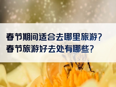 春节期间适合去哪里旅游？春节旅游好去处有哪些？