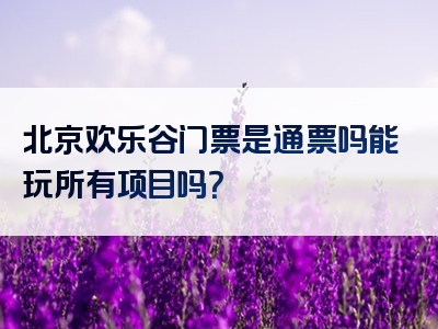 北京欢乐谷门票是通票吗能玩所有项目吗？