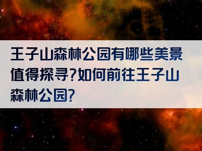 王子山森林公园有哪些美景值得探寻？如何前往王子山森林公园？
