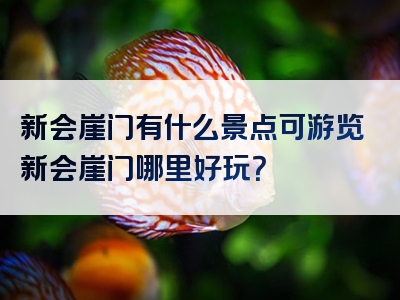 新会崖门有什么景点可游览新会崖门哪里好玩？