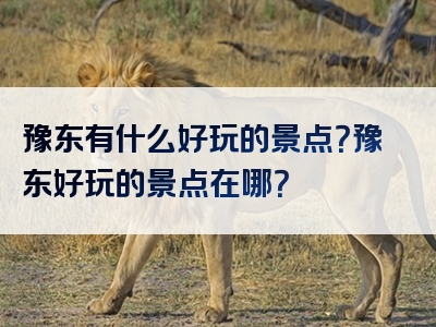豫东有什么好玩的景点？豫东好玩的景点在哪？