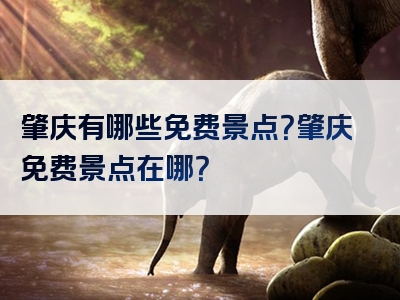 肇庆有哪些免费景点？肇庆免费景点在哪？