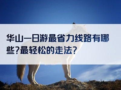 华山一日游最省力线路有哪些？最轻松的走法？