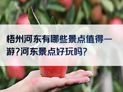 梧州河东有哪些景点值得一游？河东景点好玩吗？