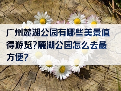 广州麓湖公园有哪些美景值得游览？麓湖公园怎么去最方便？