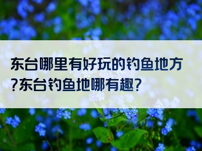 东台哪里有好玩的钓鱼地方？东台钓鱼地哪有趣？