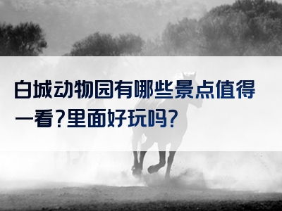 白城动物园有哪些景点值得一看？里面好玩吗？