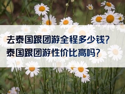 去泰国跟团游全程多少钱？泰国跟团游性价比高吗？