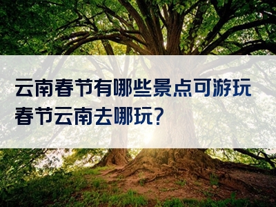 云南春节有哪些景点可游玩春节云南去哪玩？