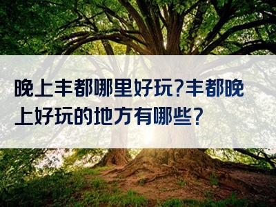 晚上丰都哪里好玩？丰都晚上好玩的地方有哪些？