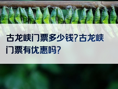 古龙峡门票多少钱？古龙峡门票有优惠吗？