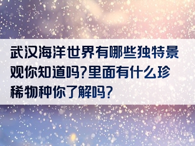 武汉海洋世界有哪些独特景观你知道吗？里面有什么珍稀物种你了解吗？