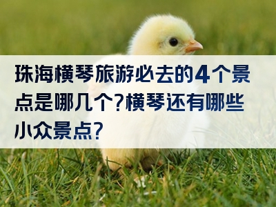 珠海横琴旅游必去的4个景点是哪几个？横琴还有哪些小众景点？
