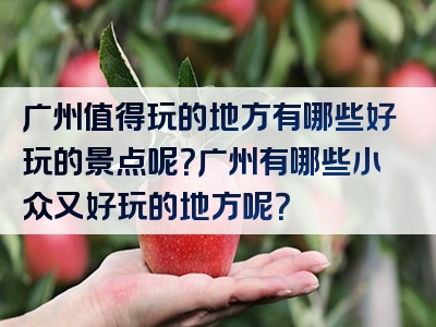 广州值得玩的地方有哪些好玩的景点呢？广州有哪些小众又好玩的地方呢？