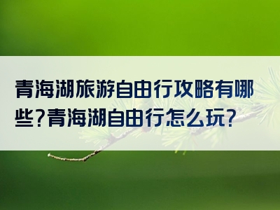 青海湖旅游自由行攻略有哪些？青海湖自由行怎么玩？