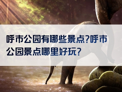 呼市公园有哪些景点？呼市公园景点哪里好玩？