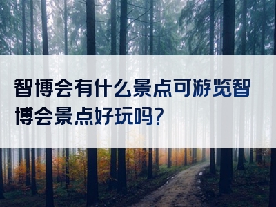 智博会有什么景点可游览智博会景点好玩吗？