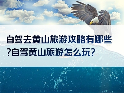 自驾去黄山旅游攻略有哪些？自驾黄山旅游怎么玩？