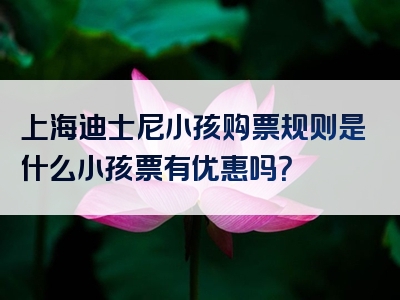 上海迪士尼小孩购票规则是什么小孩票有优惠吗？