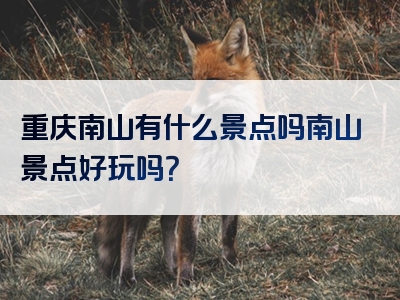 重庆南山有什么景点吗南山景点好玩吗？