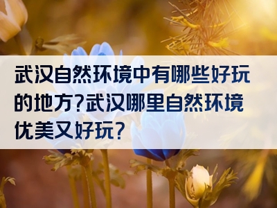 武汉自然环境中有哪些好玩的地方？武汉哪里自然环境优美又好玩？
