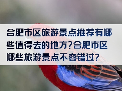 合肥市区旅游景点推荐有哪些值得去的地方？合肥市区哪些旅游景点不容错过？