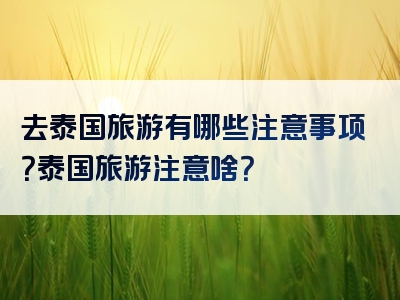 去泰国旅游有哪些注意事项？泰国旅游注意啥？