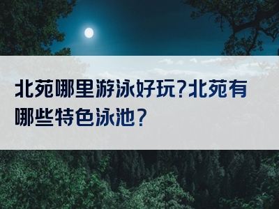 北苑哪里游泳好玩？北苑有哪些特色泳池？